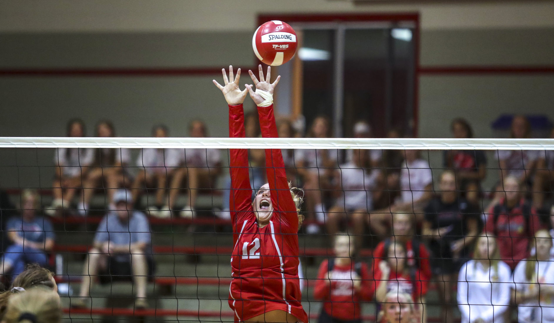 082118-mac-volleyball-008